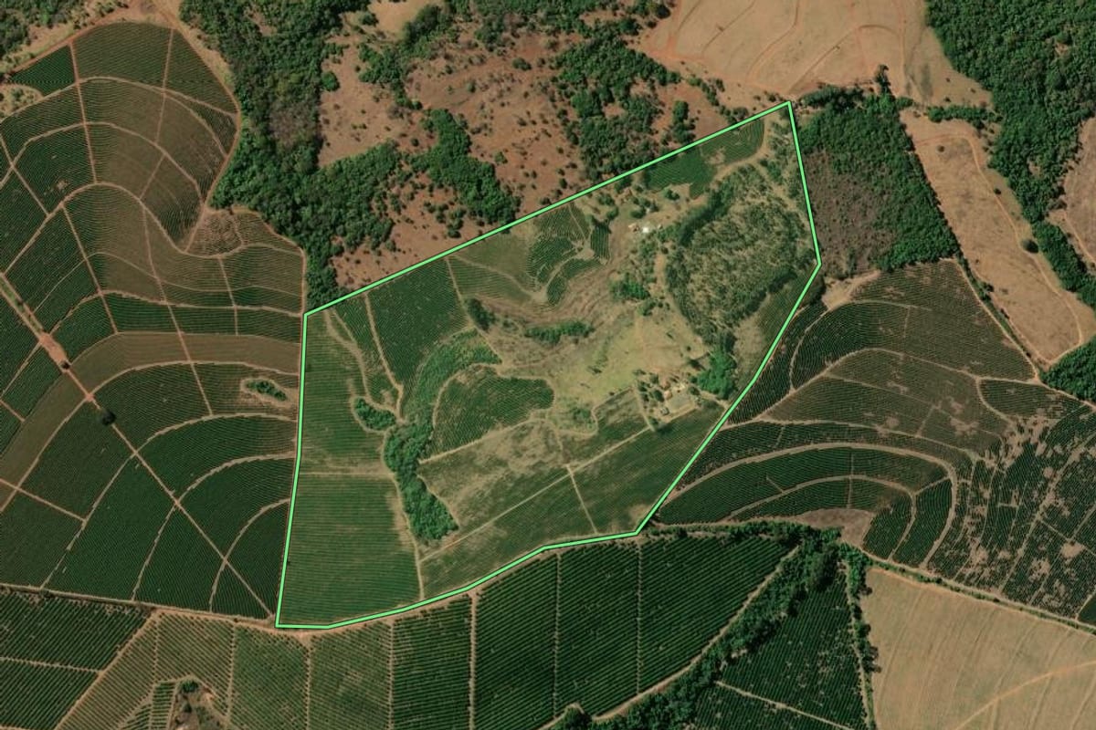 Imagem de satélite do imóvel rural em Pedregulho (SP), com o contorno declarado no CAR desenhado por cima.