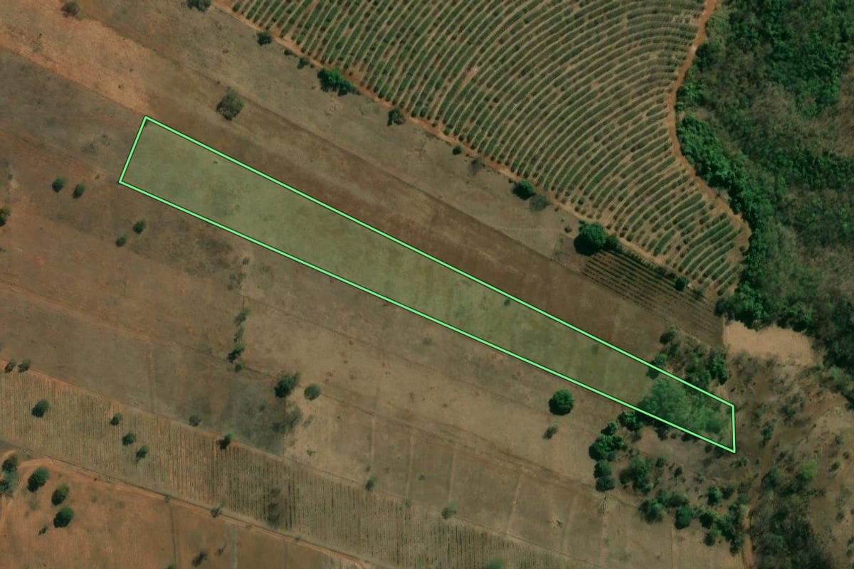 Imagem de satélite do imóvel rural em Pedregulho (SP), com o contorno declarado no CAR desenhado por cima.