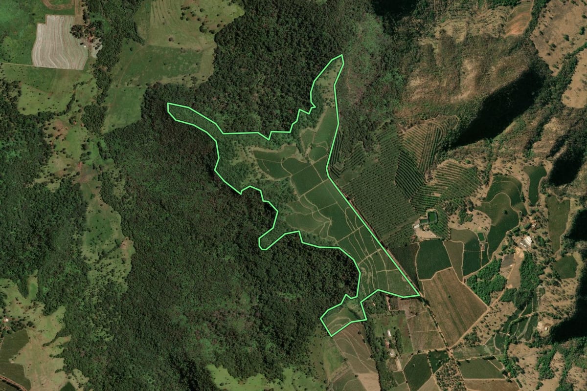 Imagem de satélite do imóvel rural em Pedregulho (SP), com o contorno declarado no CAR desenhado por cima.