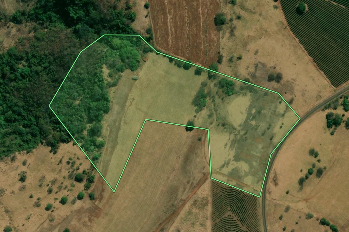 Imagem de satélite do imóvel rural em Pedregulho (SP), com o contorno declarado no CAR desenhado por cima.