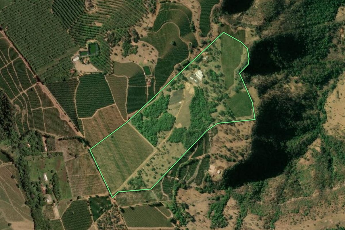Imagem de satélite do imóvel rural em Pedregulho (SP), com o contorno declarado no CAR desenhado por cima.