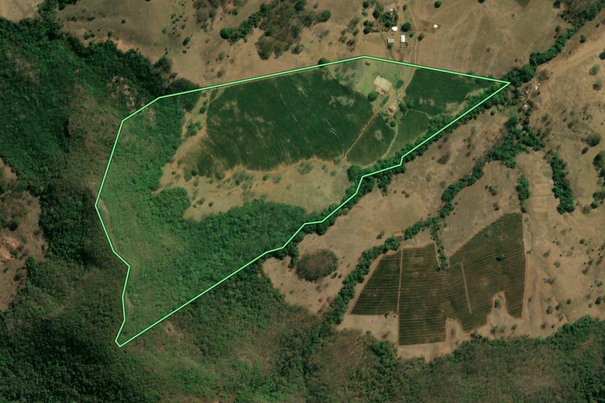 Imagem de satélite do imóvel rural em Pedregulho (SP), com o contorno declarado no CAR desenhado por cima.