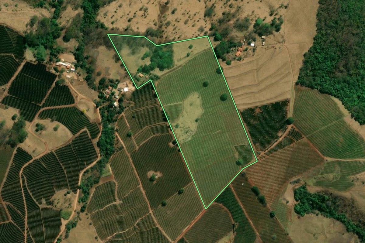 Imagem de satélite do imóvel rural em Pedregulho (SP), com o contorno declarado no CAR desenhado por cima.