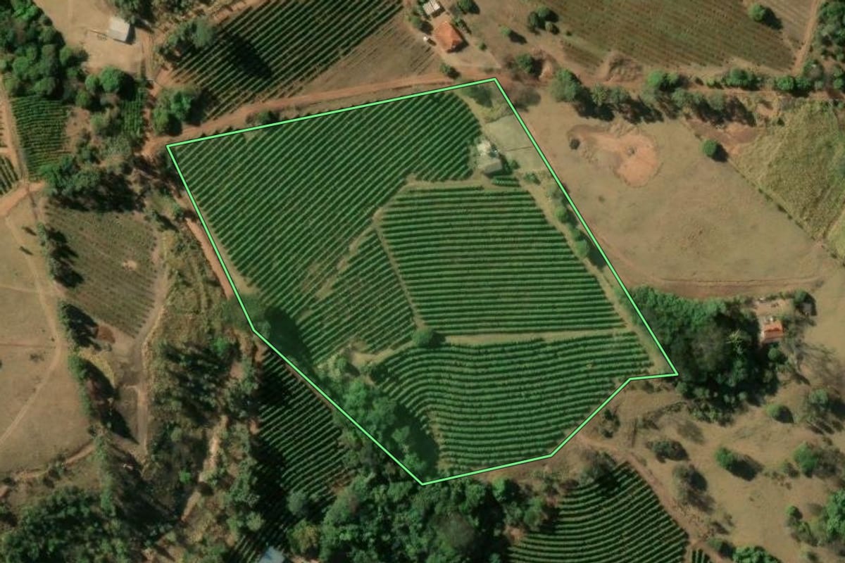 Imagem de satélite do imóvel rural em Pedregulho (SP), com o contorno declarado no CAR desenhado por cima.