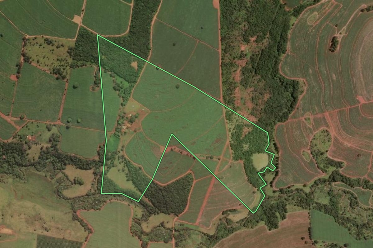 Imagem de satélite do imóvel rural em Pedregulho (SP), com o contorno declarado no CAR desenhado por cima.