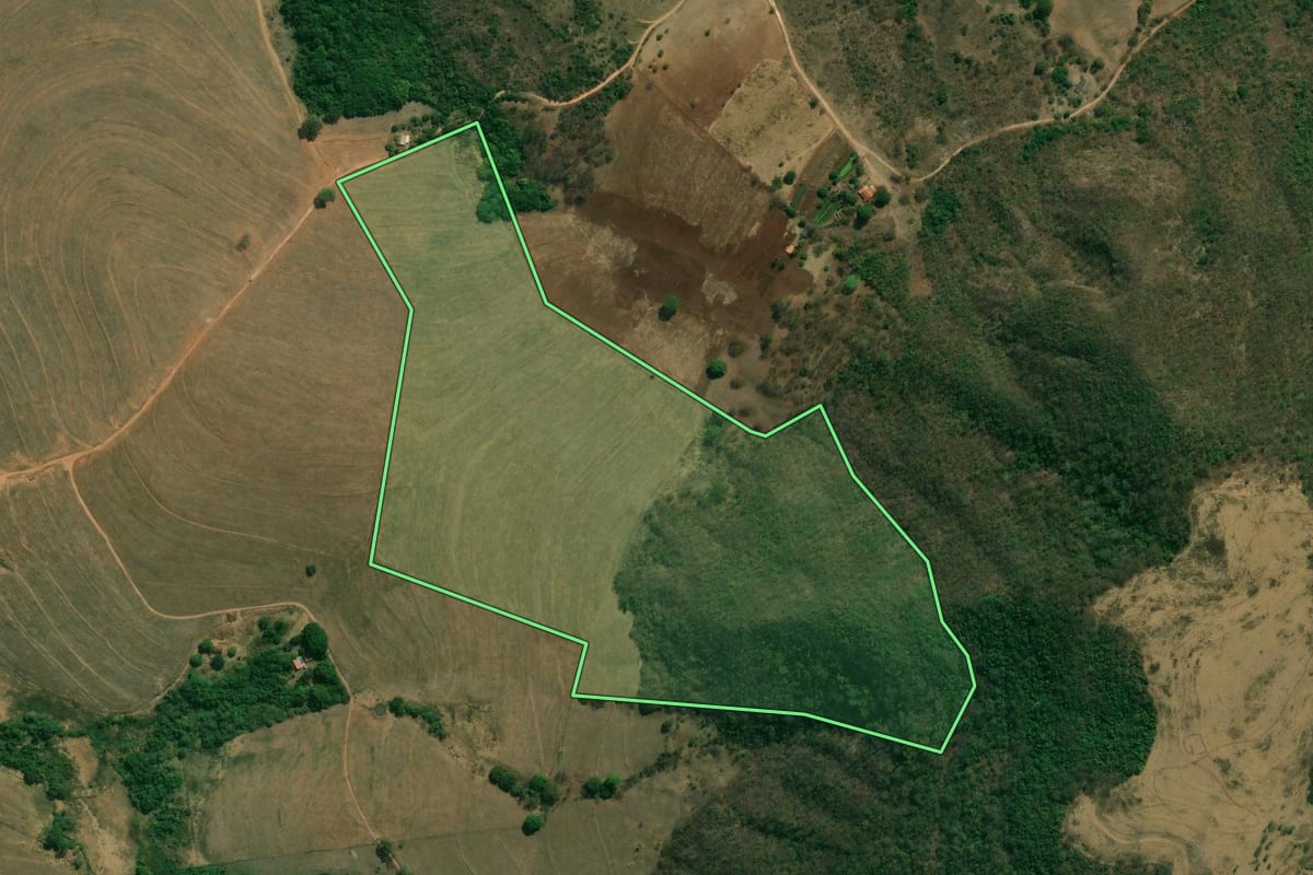 Imagem de satélite do imóvel rural em Pedregulho (SP), com o contorno declarado no CAR desenhado por cima.