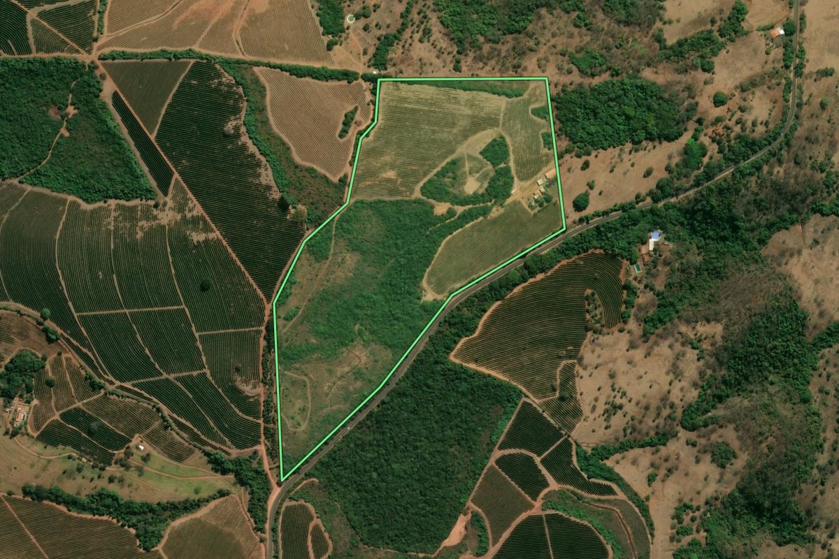 Imagem de satélite do imóvel rural em Pedregulho (SP), com o contorno declarado no CAR desenhado por cima.