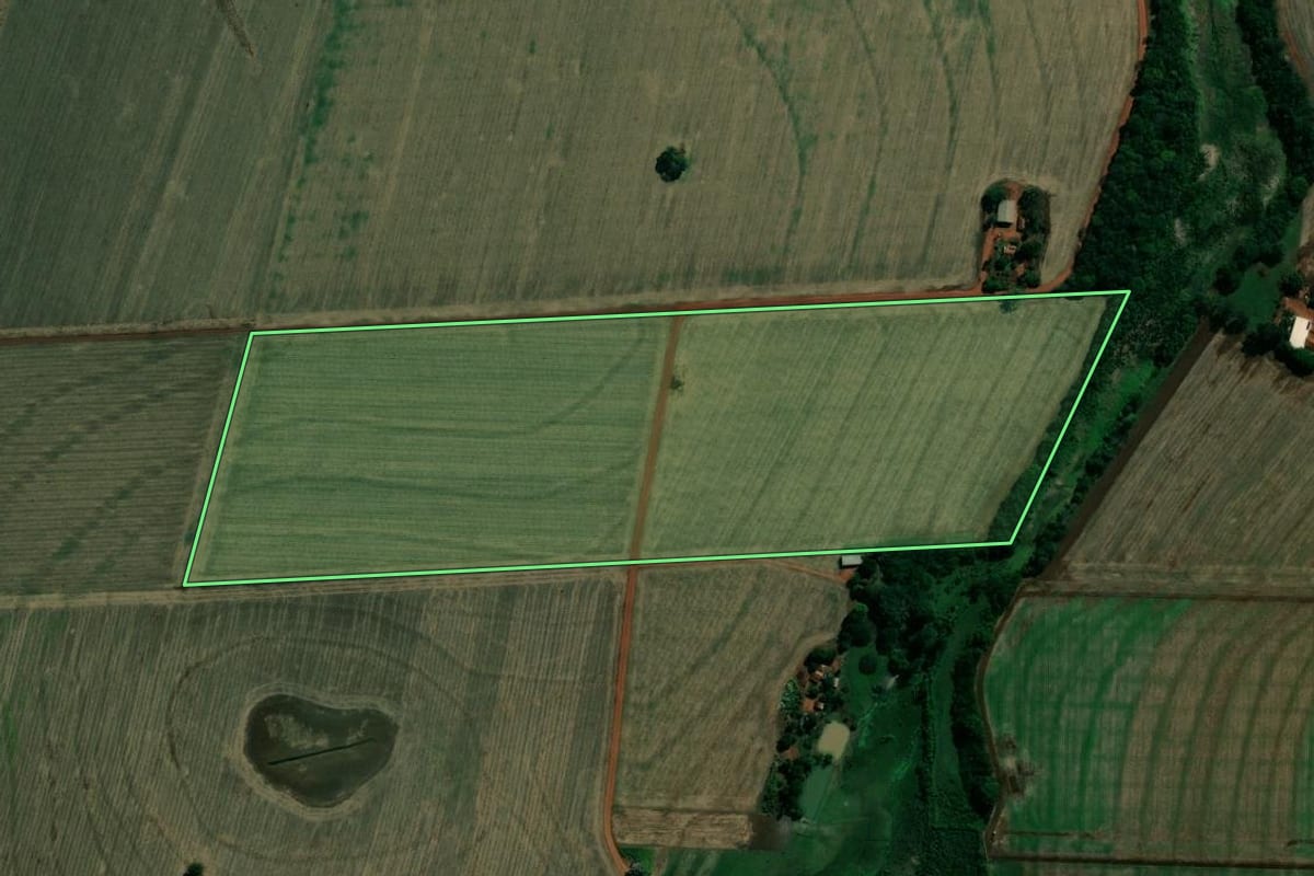 Imagem de satélite do imóvel rural em Pedrinhas Paulista (SP), com o contorno declarado no CAR desenhado por cima.