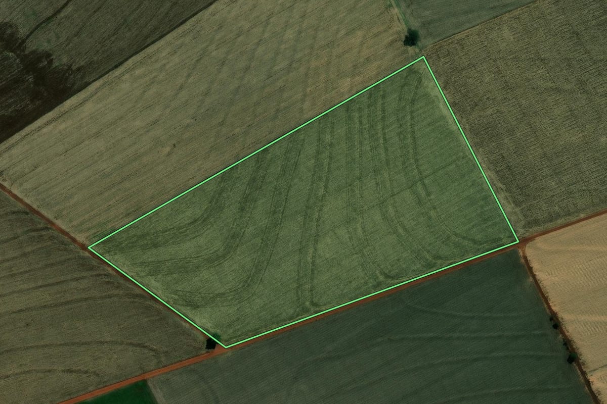 Imagem de satélite do imóvel rural em Pedrinhas Paulista (SP), com o contorno declarado no CAR desenhado por cima.