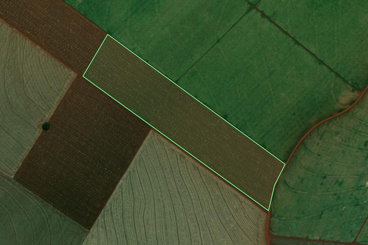 Imagem de satélite do imóvel rural em Pedrinhas Paulista (SP), com o contorno declarado no CAR desenhado por cima.