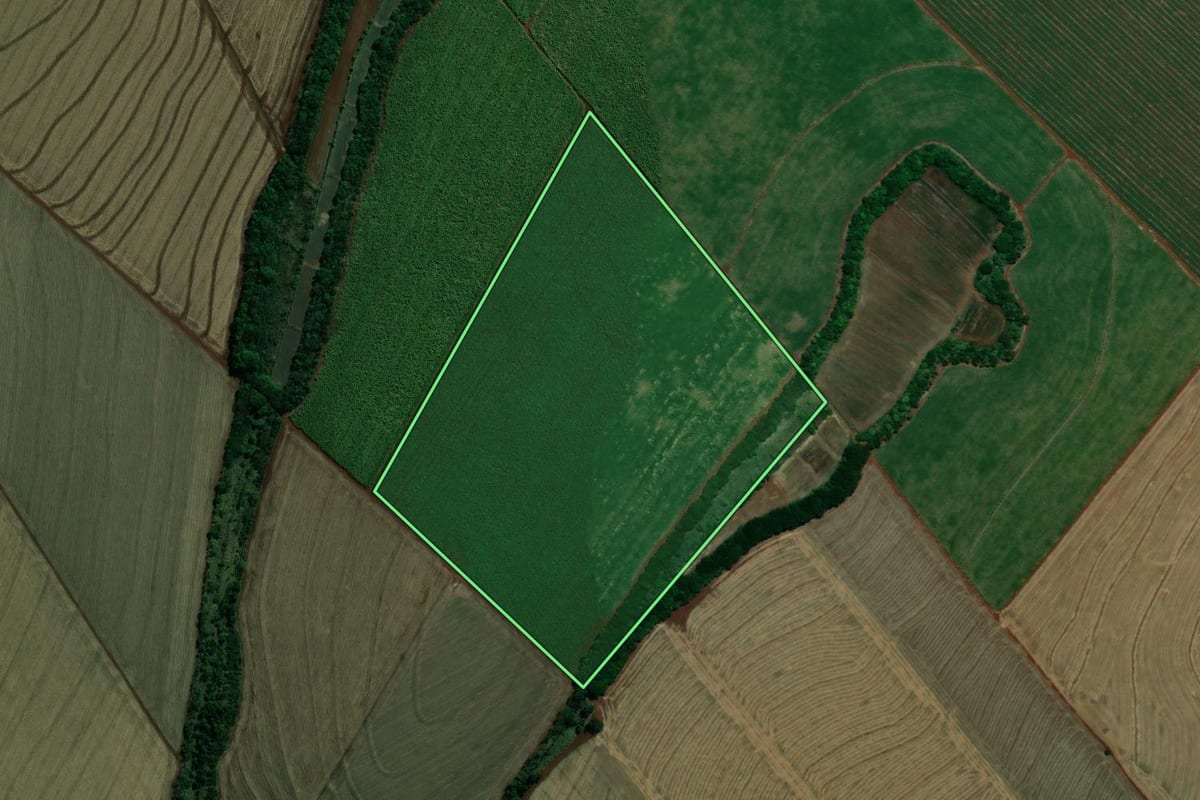 Imagem de satélite do imóvel rural em Pedrinhas Paulista (SP), com o contorno declarado no CAR desenhado por cima.