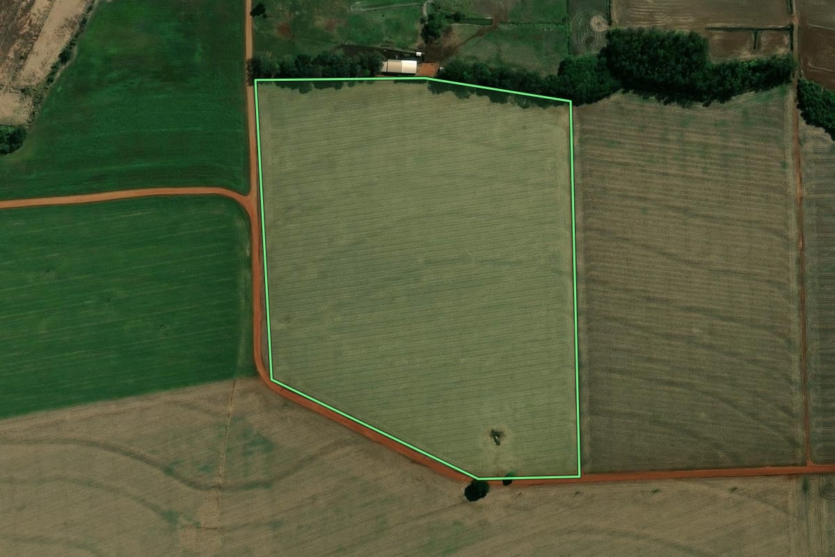 Imagem de satélite do imóvel rural em Pedrinhas Paulista (SP), com o contorno declarado no CAR desenhado por cima.