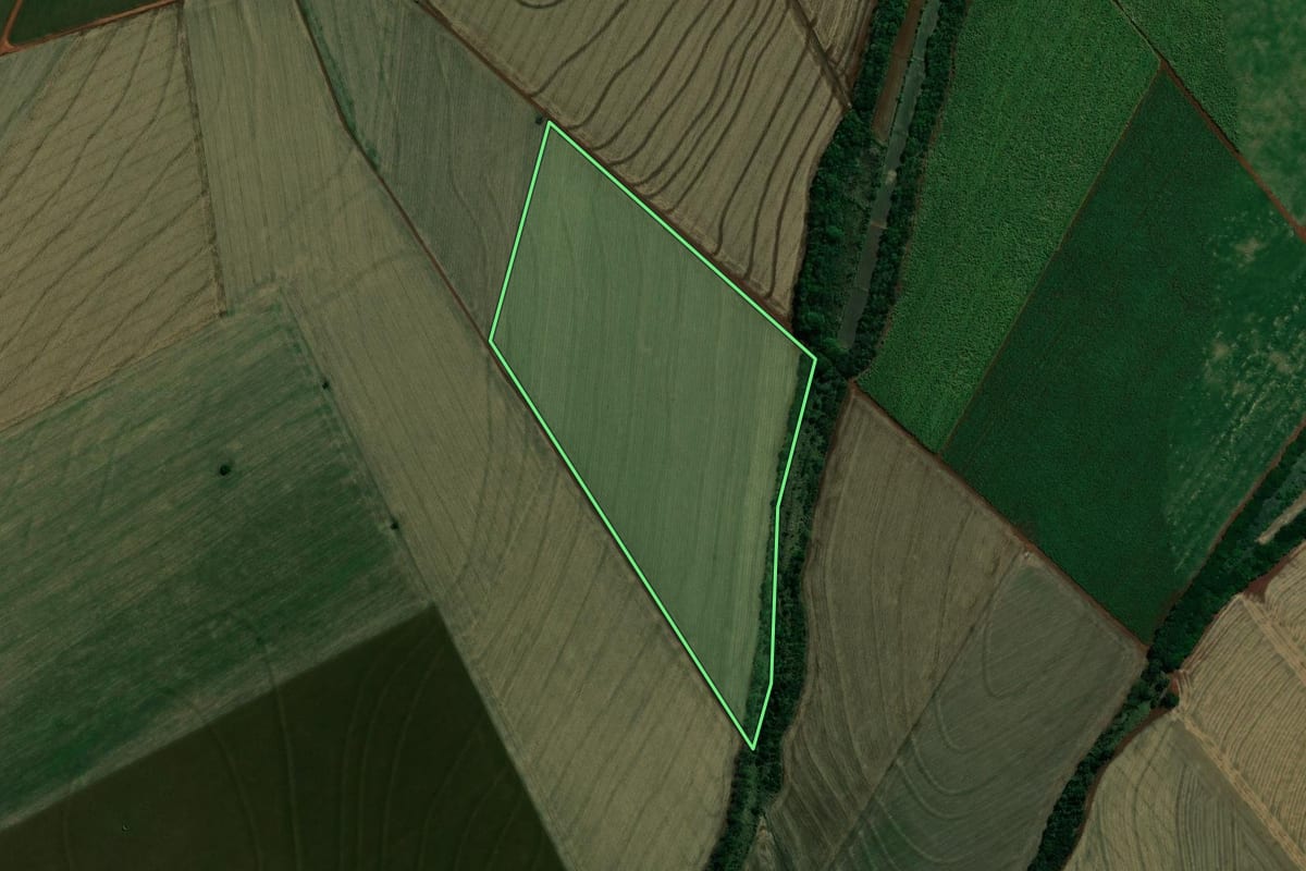 Imagem de satélite do imóvel rural em Pedrinhas Paulista (SP), com o contorno declarado no CAR desenhado por cima.