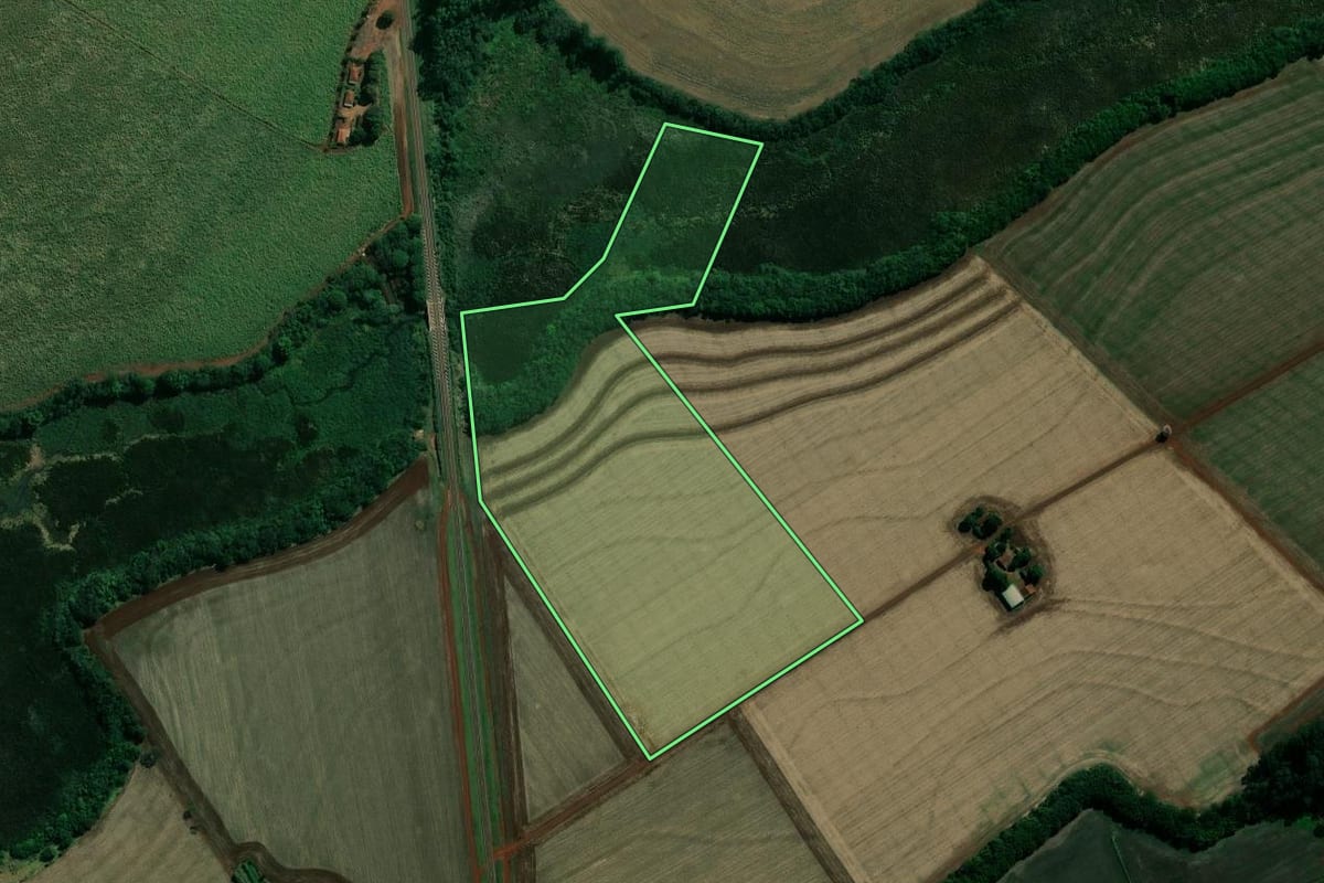 Imagem de satélite do imóvel rural em Pedrinhas Paulista (SP), com o contorno declarado no CAR desenhado por cima.