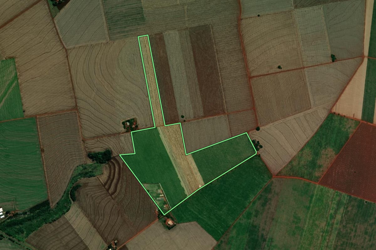 Imagem de satélite do imóvel rural em Pedrinhas Paulista (SP), com o contorno declarado no CAR desenhado por cima.