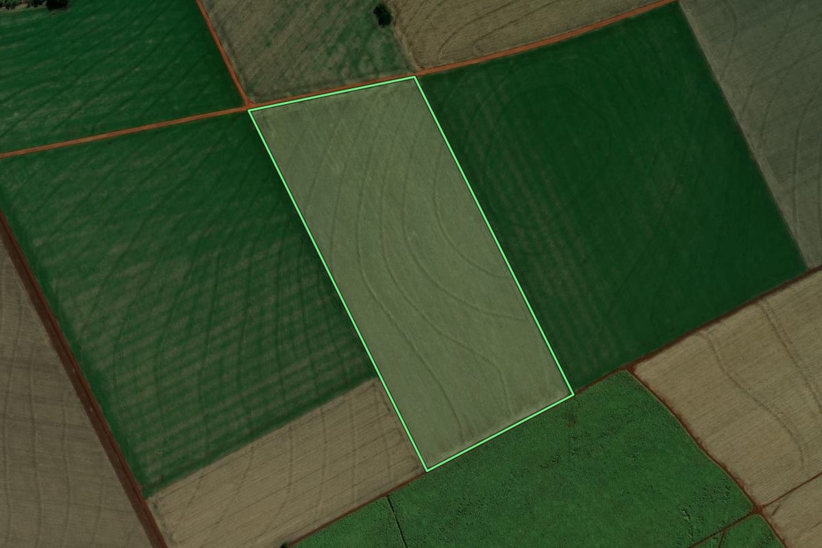 Imagem de satélite do imóvel rural em Pedrinhas Paulista (SP), com o contorno declarado no CAR desenhado por cima.