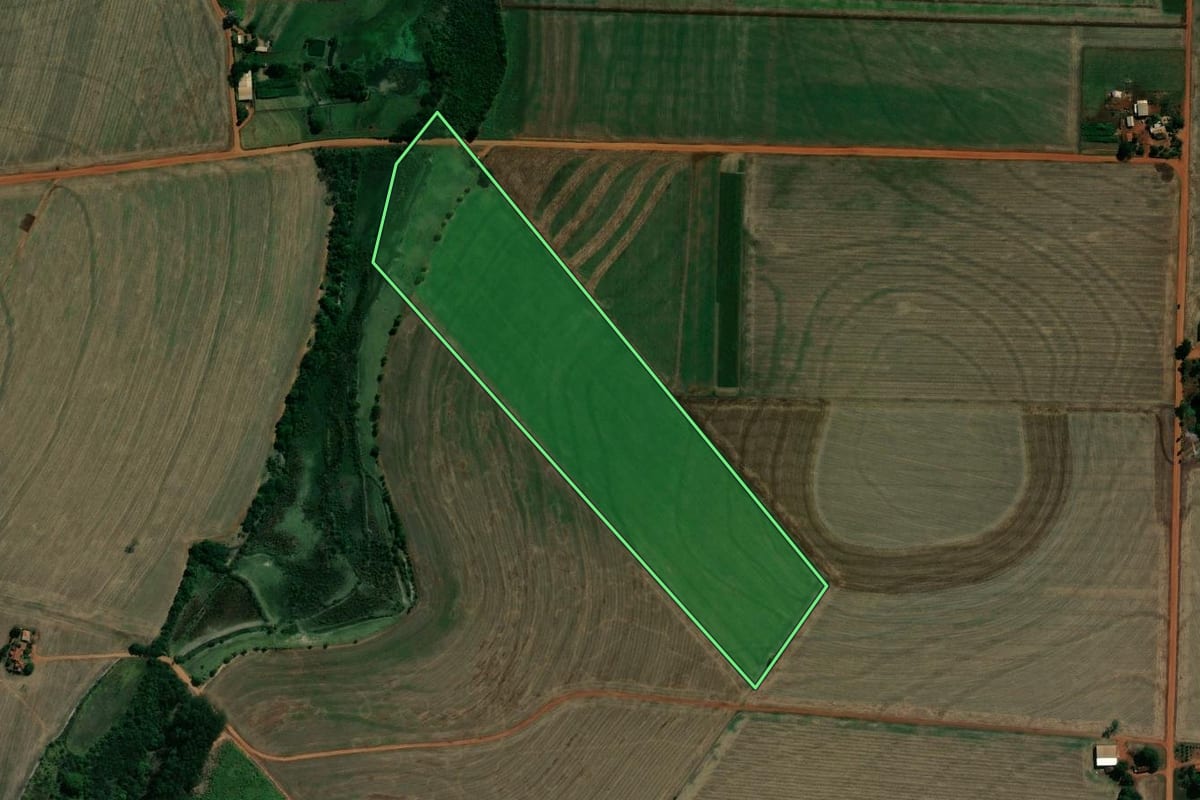 Imagem de satélite do imóvel rural em Pedrinhas Paulista (SP), com o contorno declarado no CAR desenhado por cima.