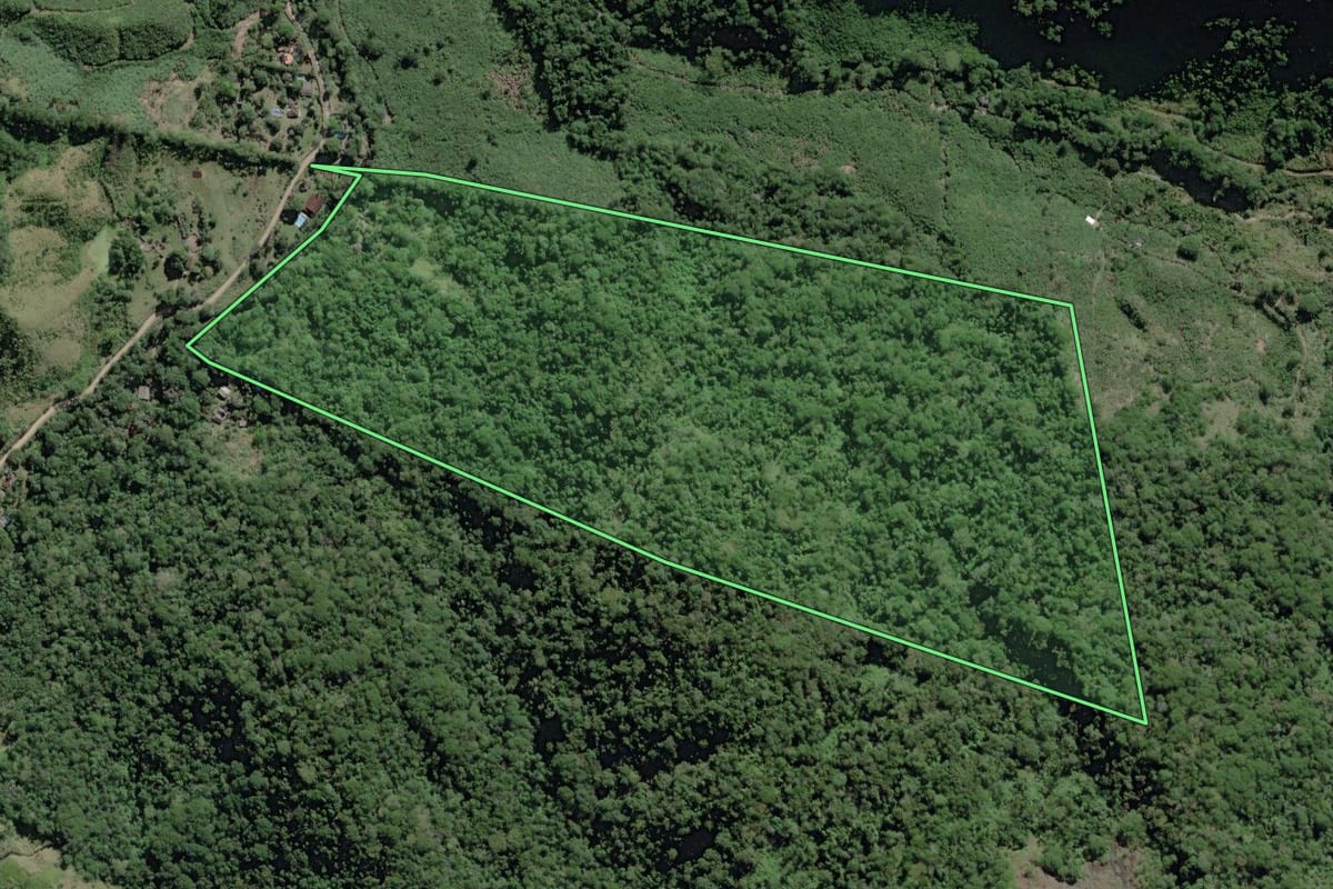 Imagem de satélite do imóvel rural em Pedro de Toledo (SP), com o contorno declarado no CAR desenhado por cima.