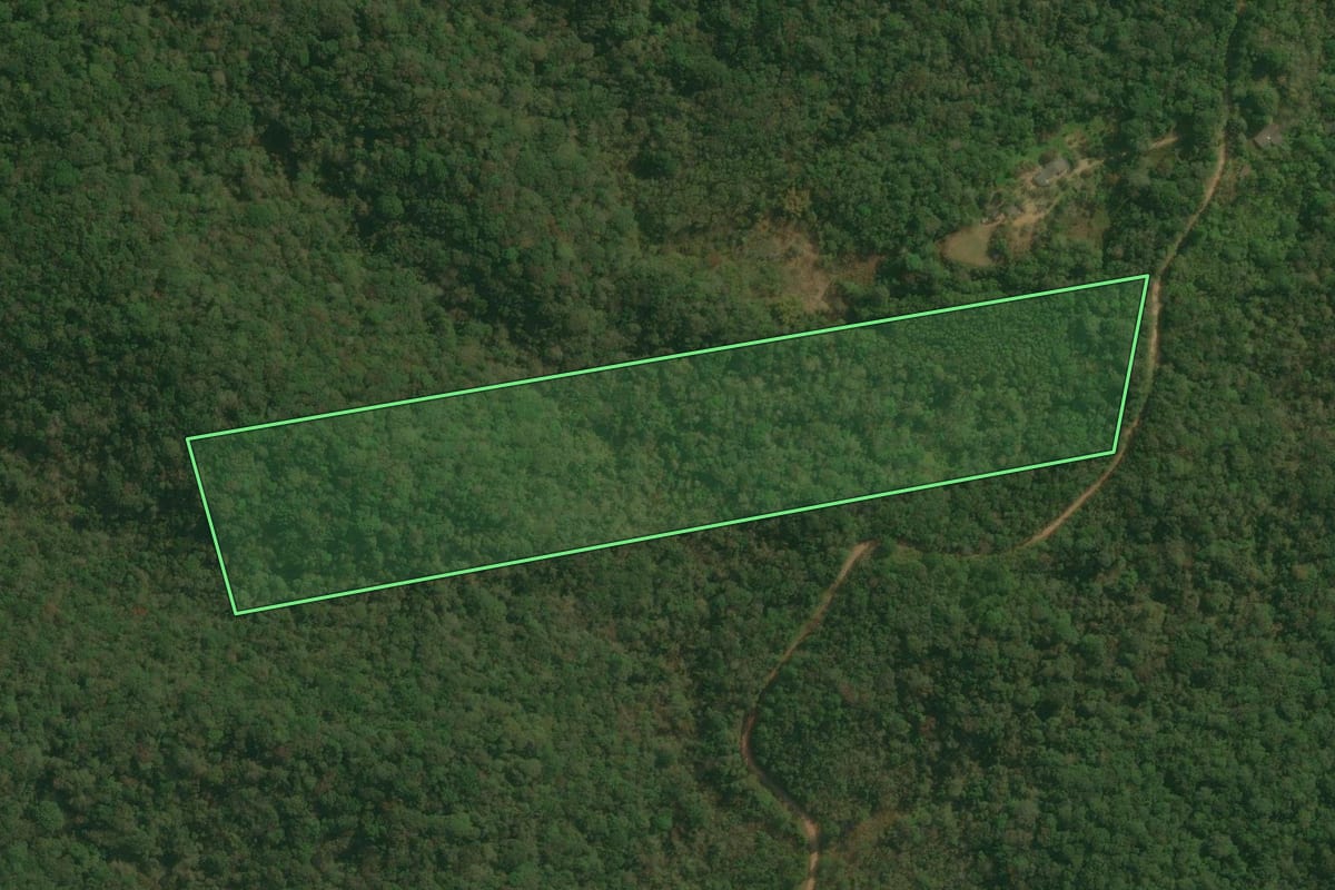 Imagem de satélite do imóvel rural em Pedro de Toledo (SP), com o contorno declarado no CAR desenhado por cima.