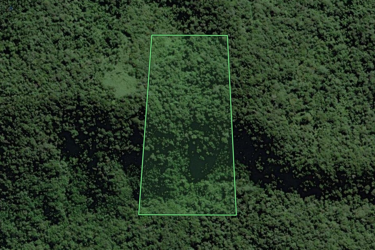 Imagem de satélite do imóvel rural em Pedro de Toledo (SP), com o contorno declarado no CAR desenhado por cima.