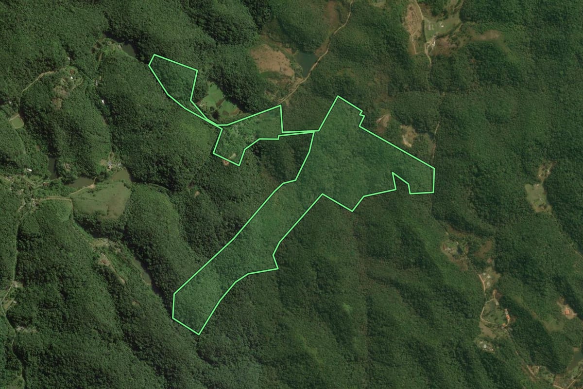 Imagem de satélite do imóvel rural em Pedro de Toledo (SP), com o contorno declarado no CAR desenhado por cima.