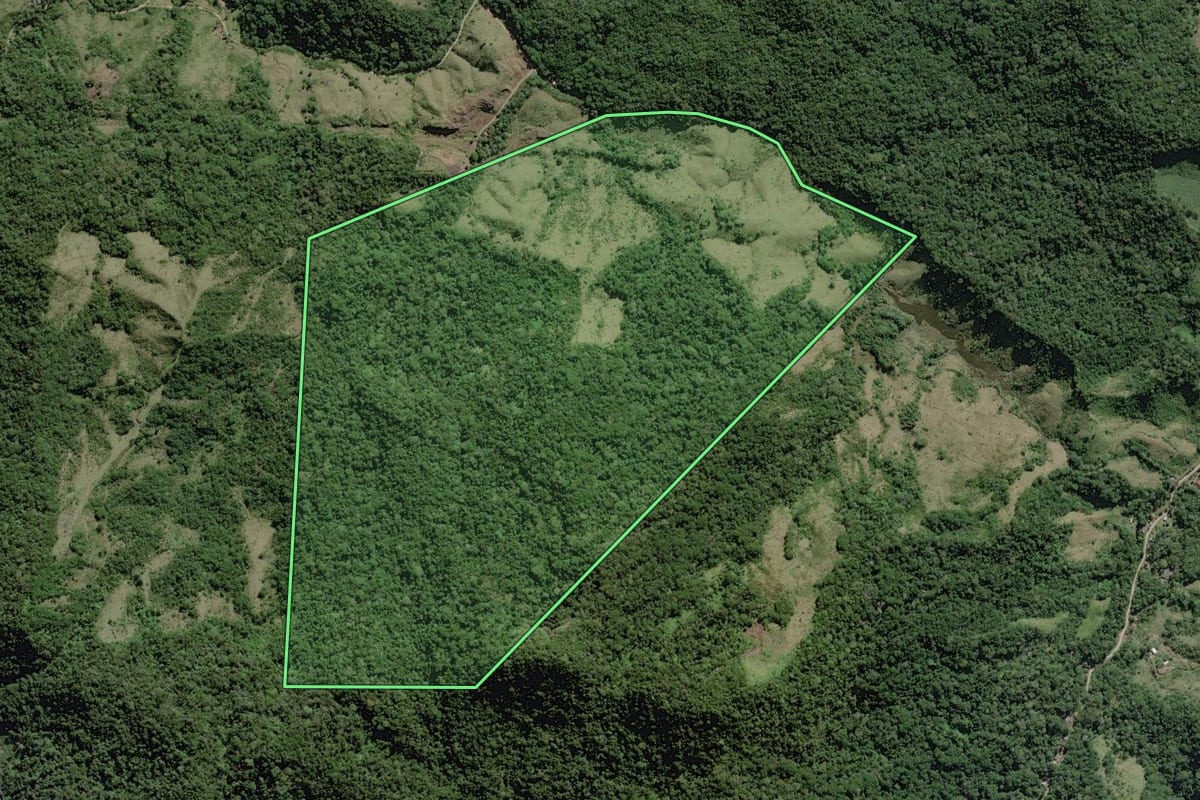 Imagem de satélite do imóvel rural em Pedro de Toledo (SP), com o contorno declarado no CAR desenhado por cima.