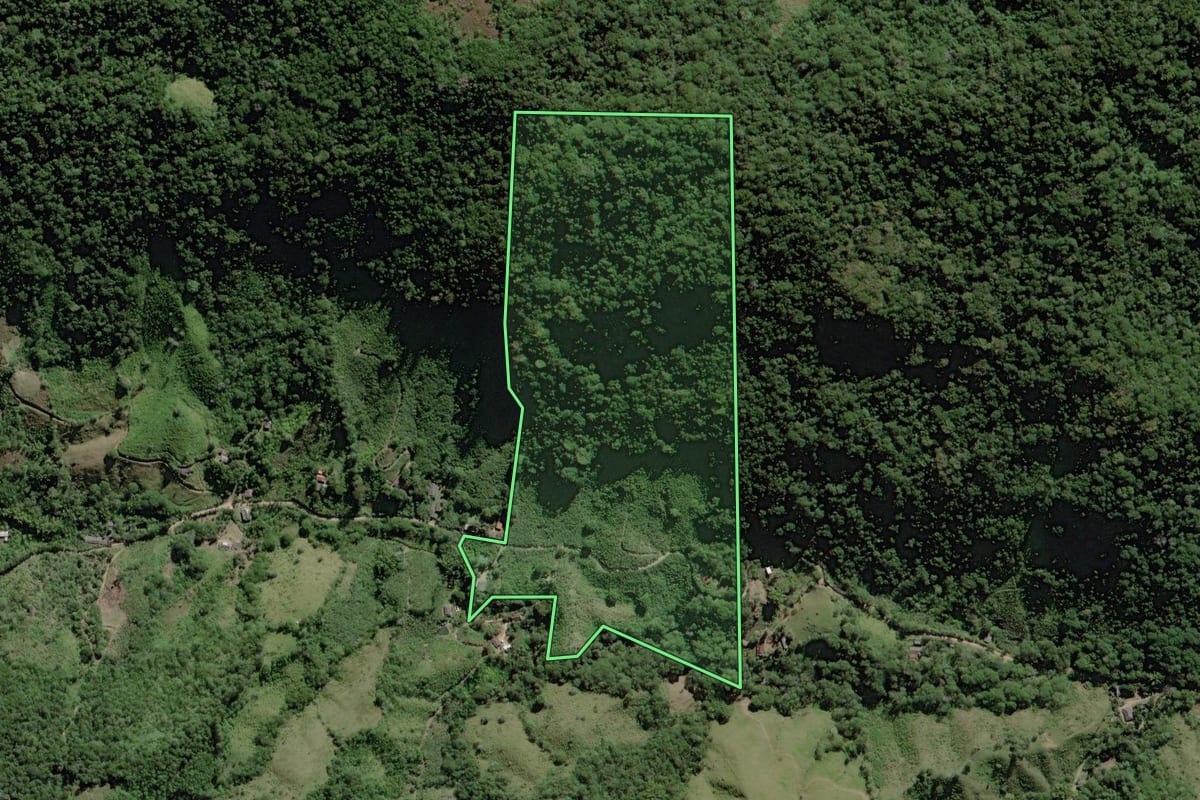 Imagem de satélite do imóvel rural em Pedro de Toledo (SP), com o contorno declarado no CAR desenhado por cima.