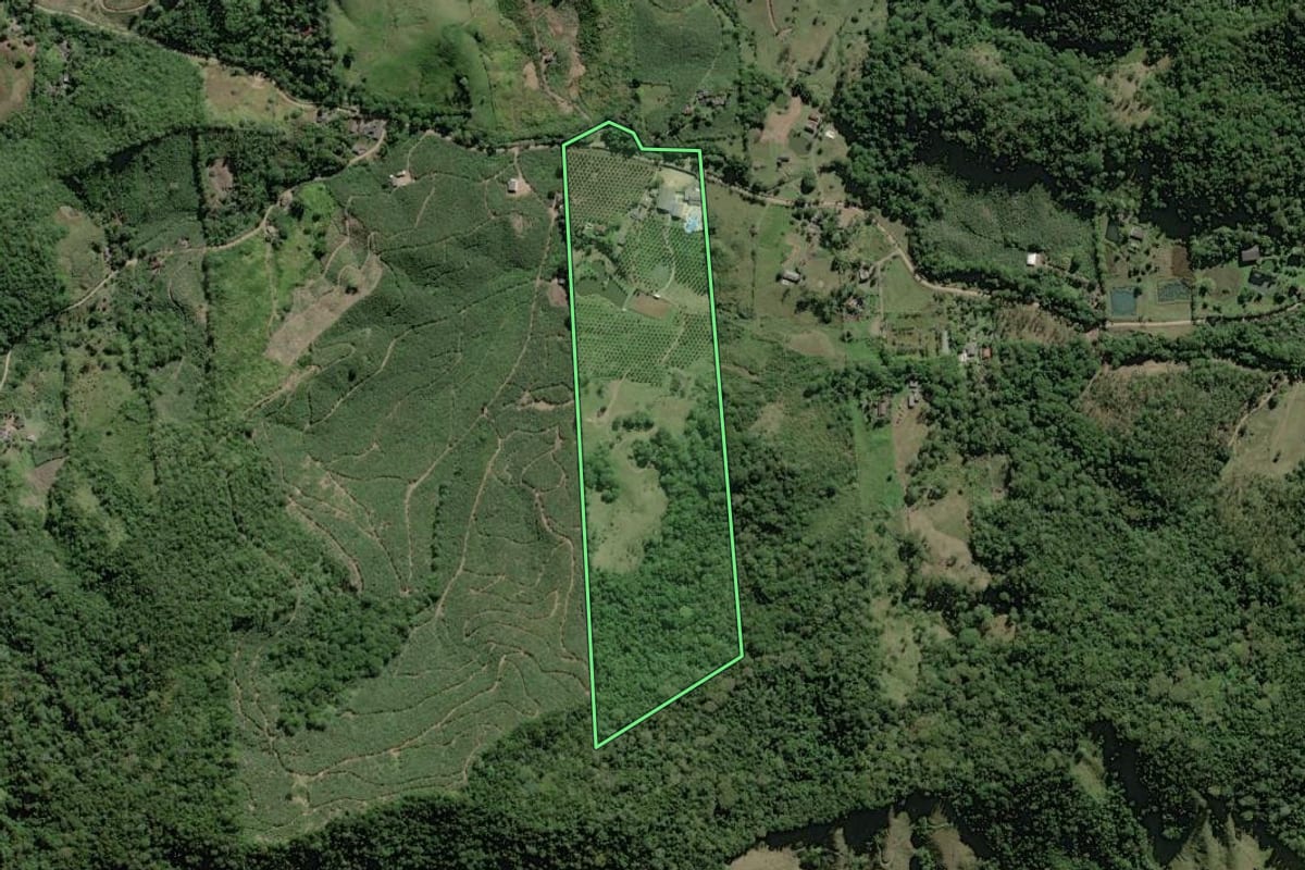 Imagem de satélite do imóvel rural em Pedro de Toledo (SP), com o contorno declarado no CAR desenhado por cima.