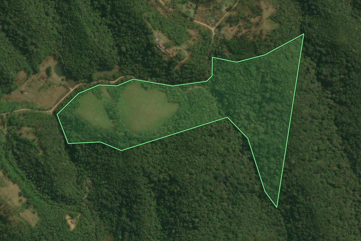 Imagem de satélite do imóvel rural em Pedro de Toledo (SP), com o contorno declarado no CAR desenhado por cima.