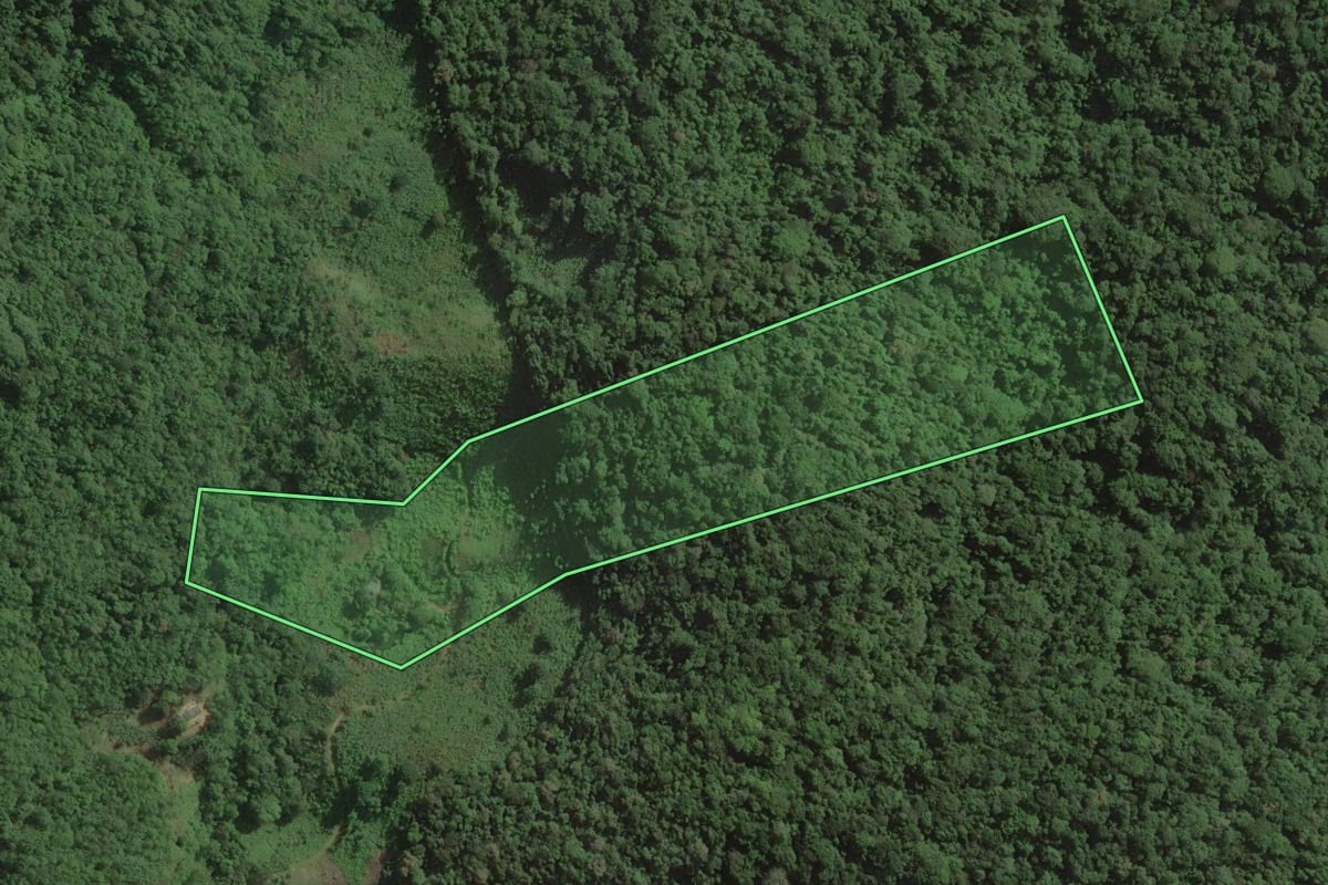 Imagem de satélite do imóvel rural em Pedro de Toledo (SP), com o contorno declarado no CAR desenhado por cima.