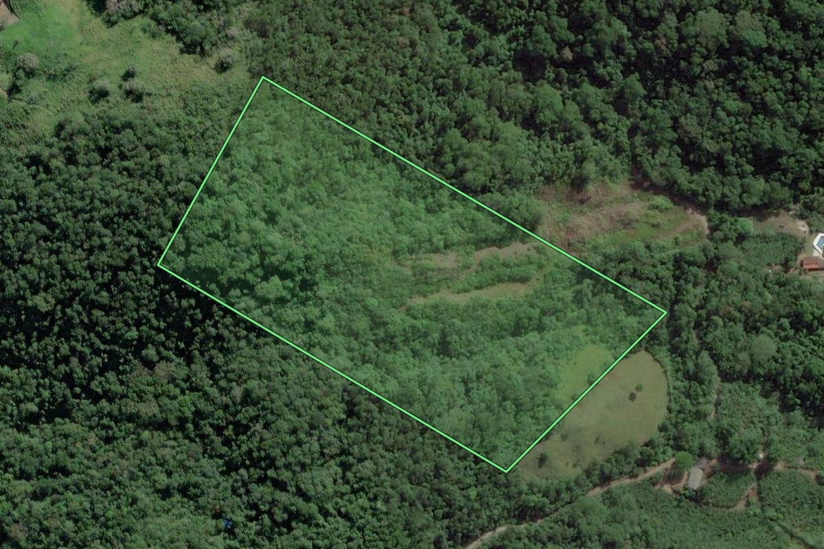 Imagem de satélite do imóvel rural em Pedro de Toledo (SP), com o contorno declarado no CAR desenhado por cima.