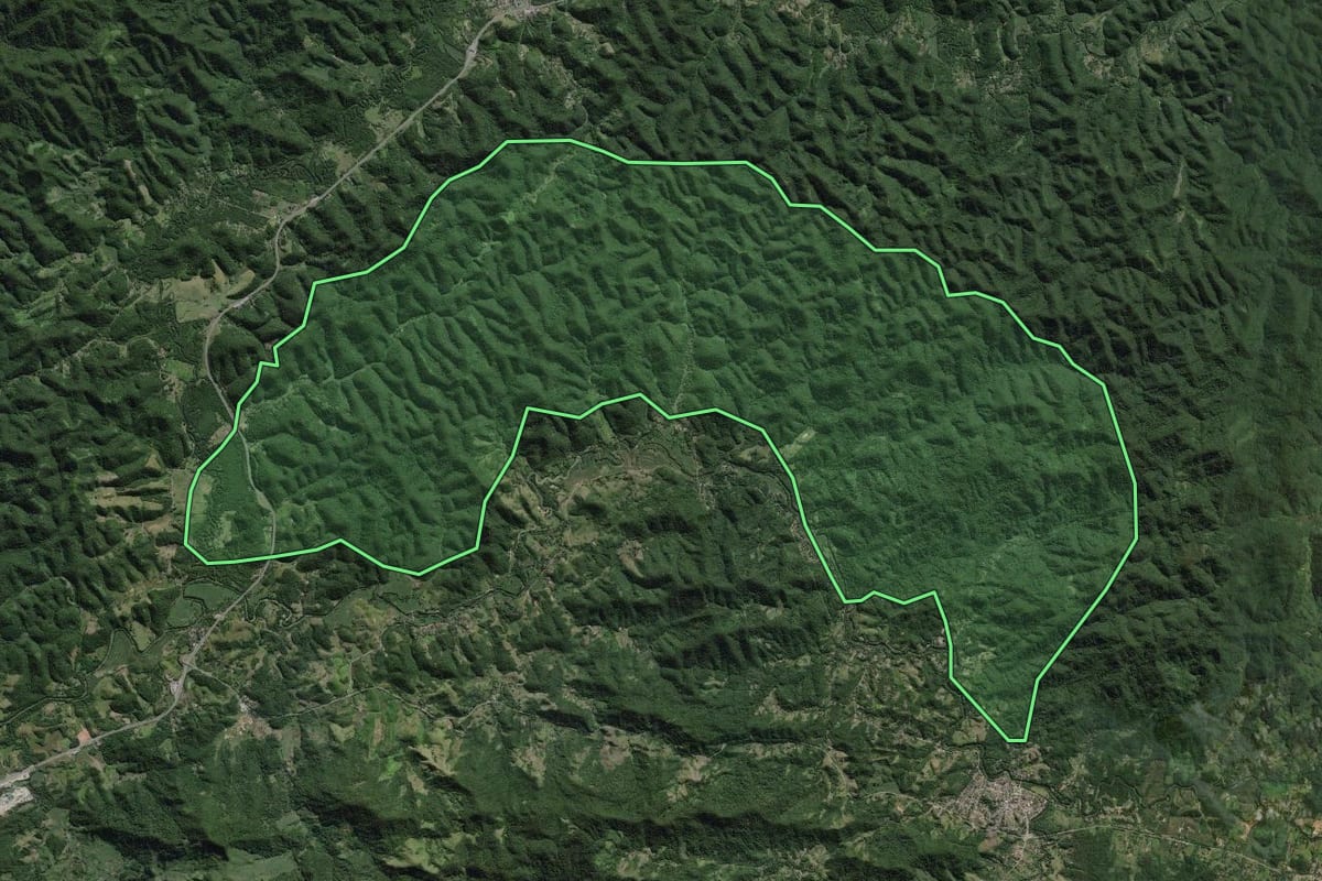 Imagem de satélite do imóvel rural em Pedro de Toledo (SP), com o contorno declarado no CAR desenhado por cima.