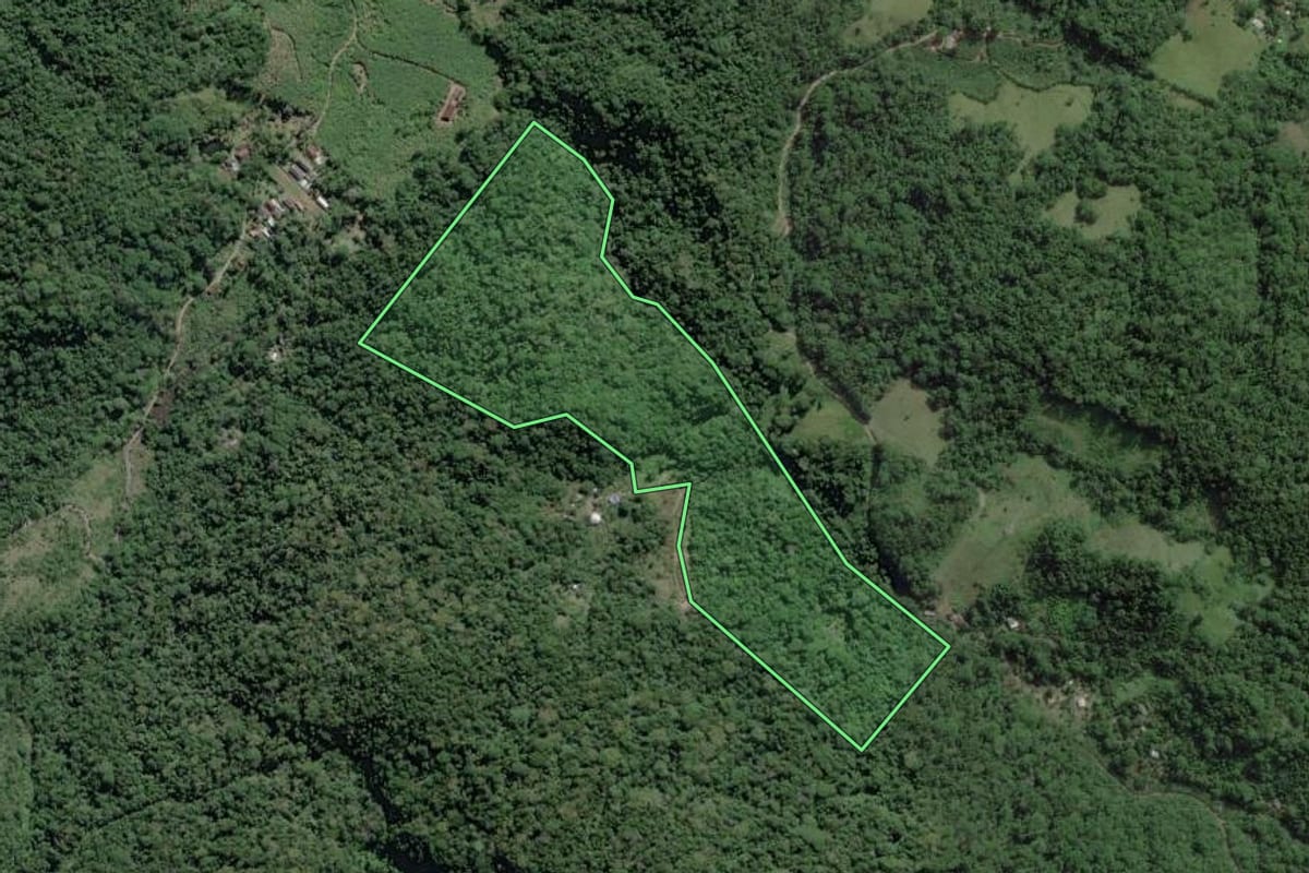 Imagem de satélite do imóvel rural em Pedro de Toledo (SP), com o contorno declarado no CAR desenhado por cima.