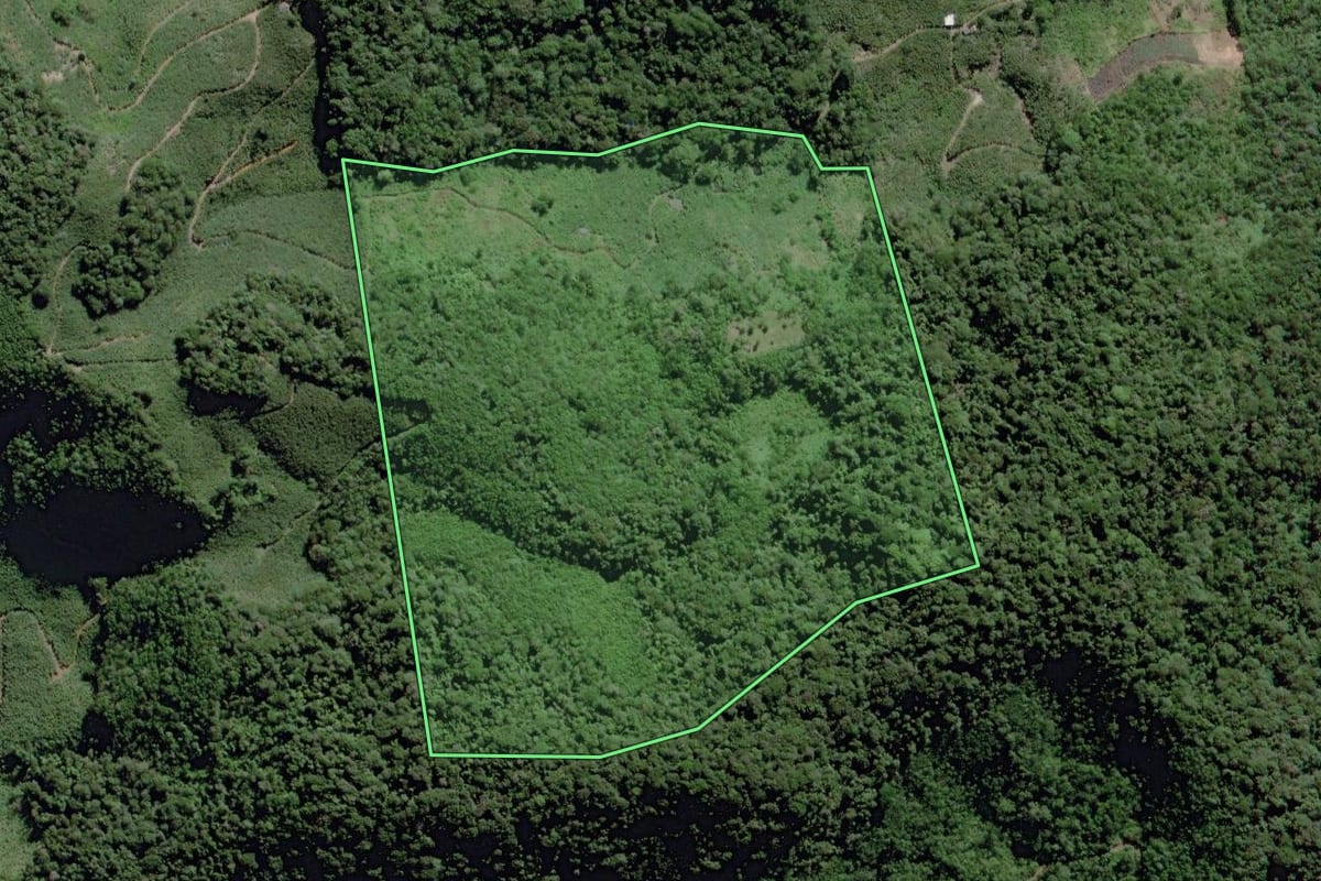 Imagem de satélite do imóvel rural em Pedro de Toledo (SP), com o contorno declarado no CAR desenhado por cima.