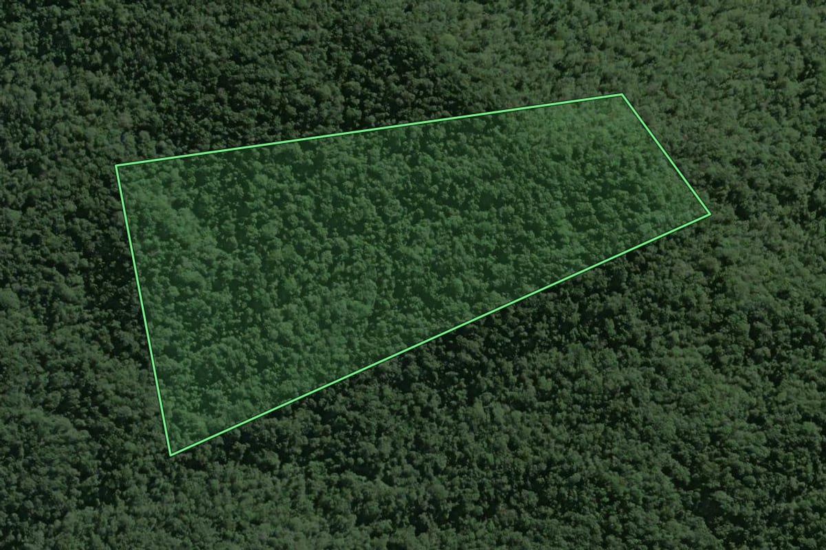 Imagem de satélite do imóvel rural em Pedro de Toledo (SP), com o contorno declarado no CAR desenhado por cima.