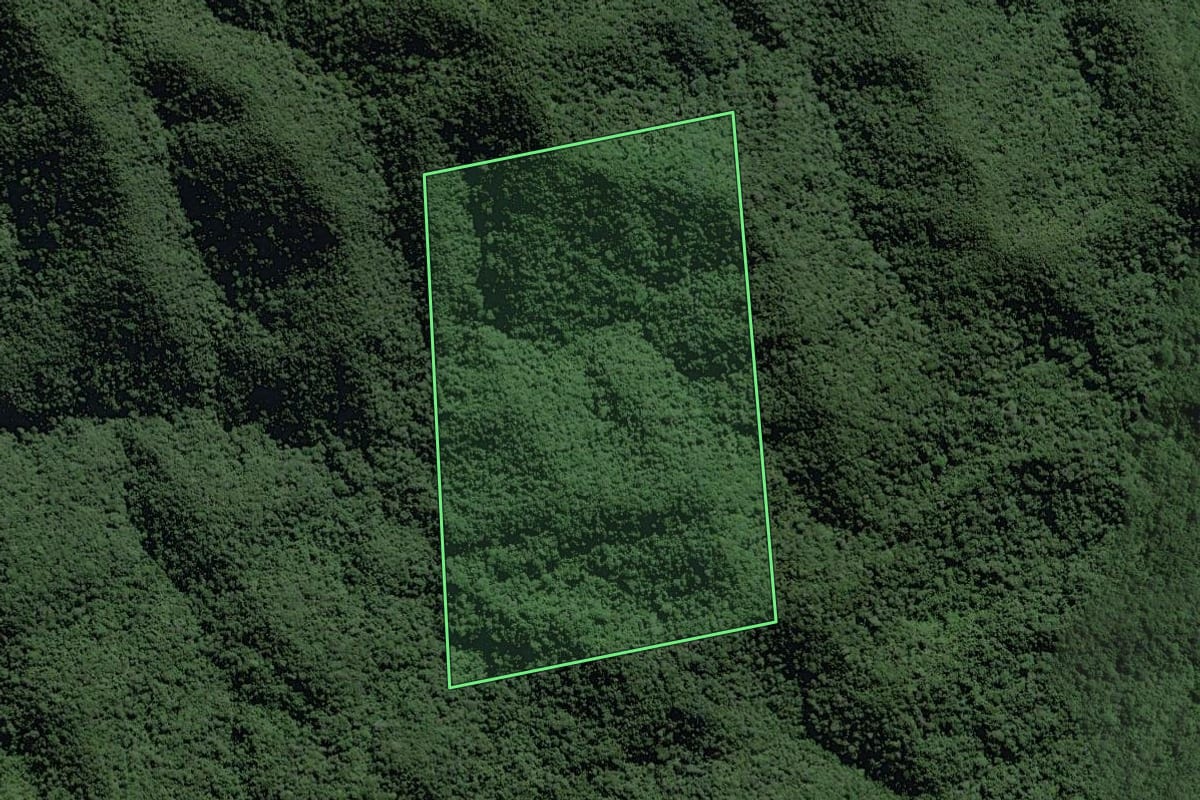 Imagem de satélite do imóvel rural em Pedro de Toledo (SP), com o contorno declarado no CAR desenhado por cima.
