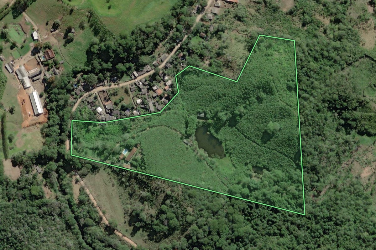 Imagem de satélite do imóvel rural em Pedro de Toledo (SP), com o contorno declarado no CAR desenhado por cima.