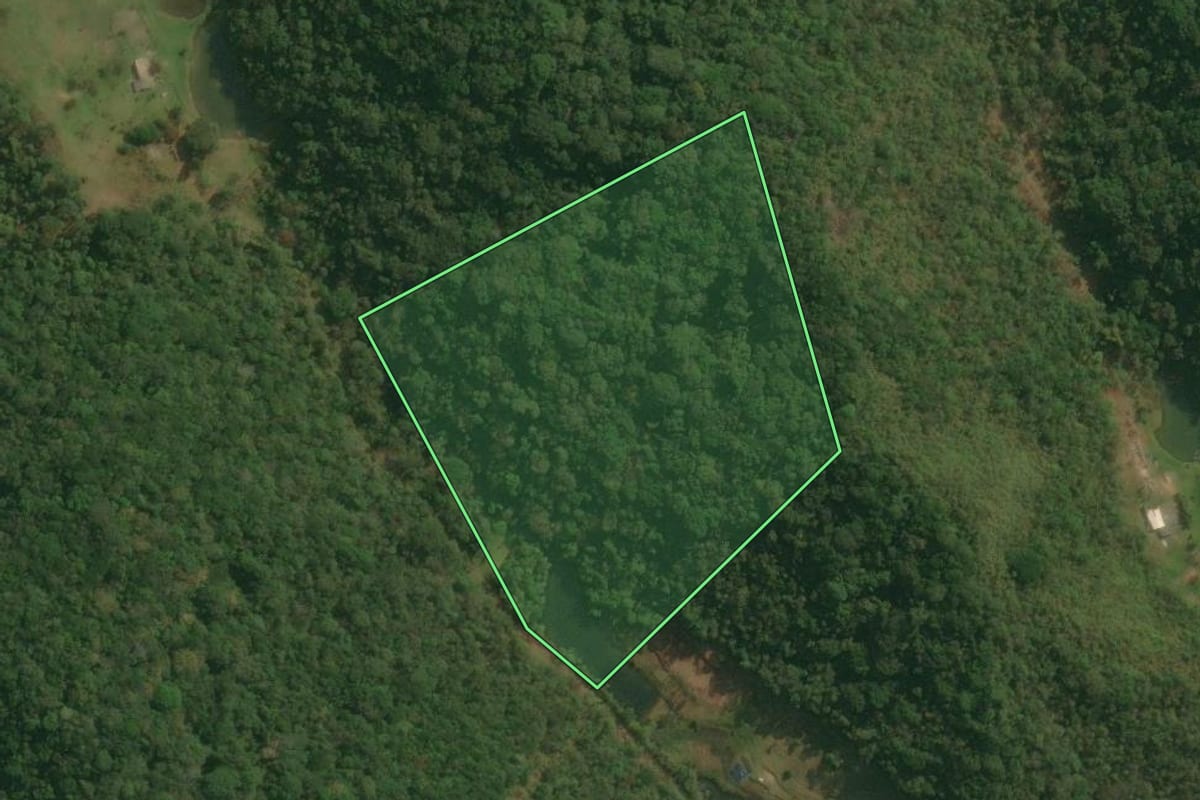 Imagem de satélite do imóvel rural em Pedro de Toledo (SP), com o contorno declarado no CAR desenhado por cima.