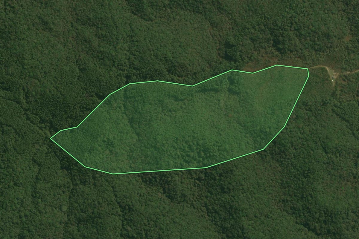 Imagem de satélite do imóvel rural em Pedro de Toledo (SP), com o contorno declarado no CAR desenhado por cima.