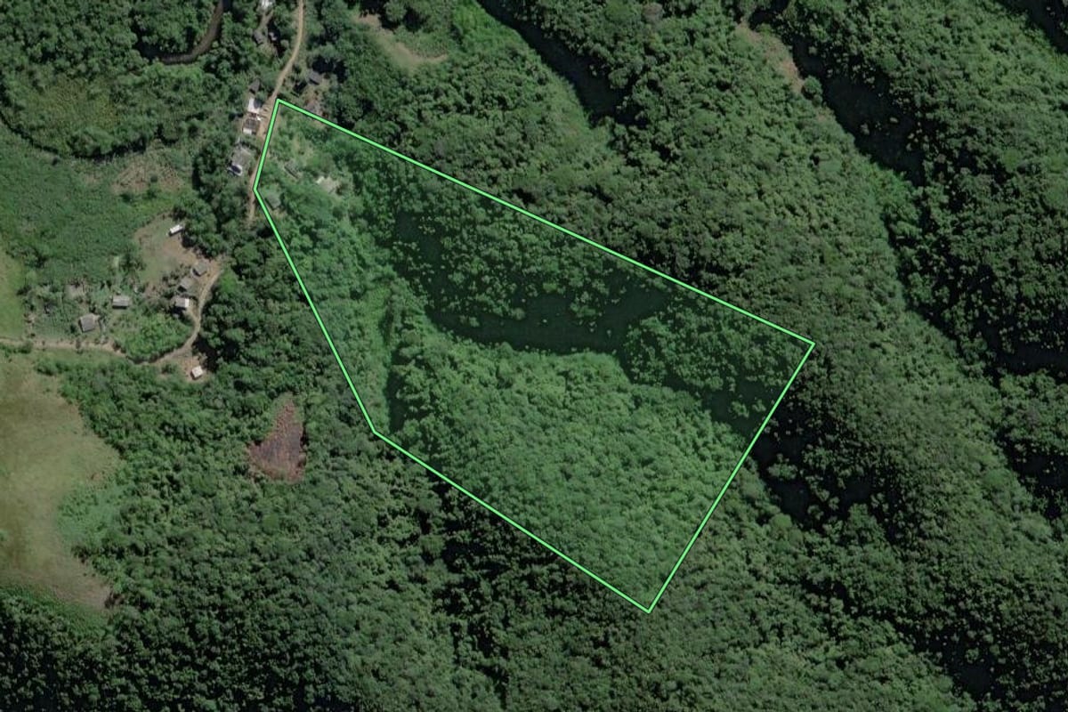 Imagem de satélite do imóvel rural em Pedro de Toledo (SP), com o contorno declarado no CAR desenhado por cima.