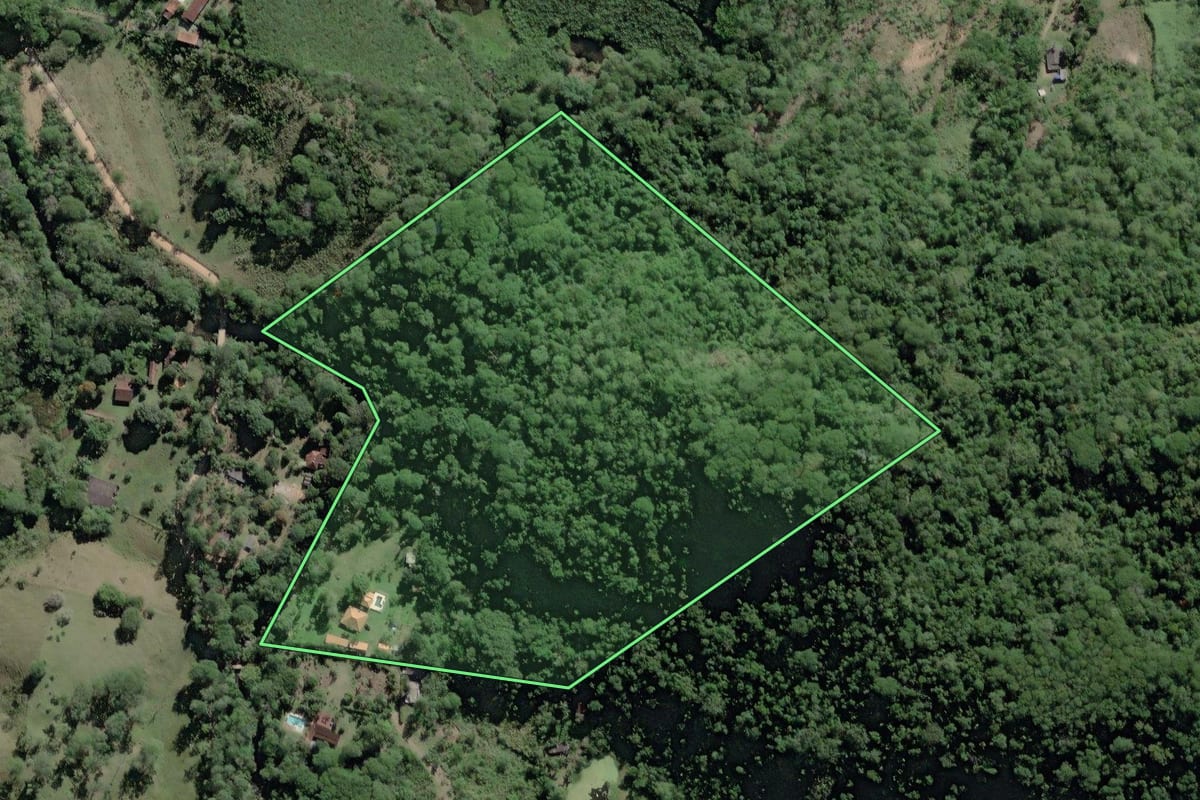 Imagem de satélite do imóvel rural em Pedro de Toledo (SP), com o contorno declarado no CAR desenhado por cima.