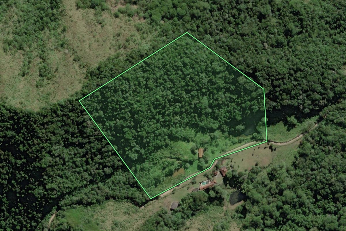 Imagem de satélite do imóvel rural em Pedro de Toledo (SP), com o contorno declarado no CAR desenhado por cima.