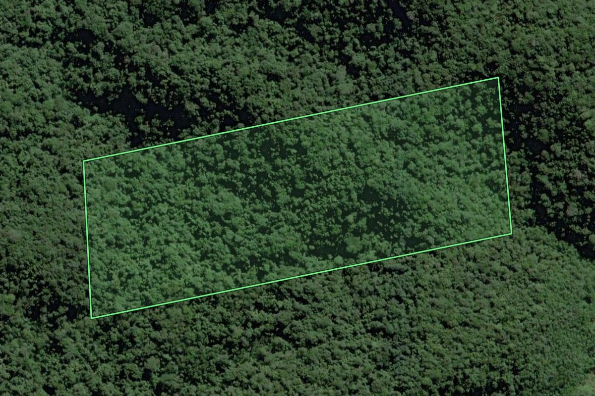 Imagem de satélite do imóvel rural em Pedro de Toledo (SP), com o contorno declarado no CAR desenhado por cima.