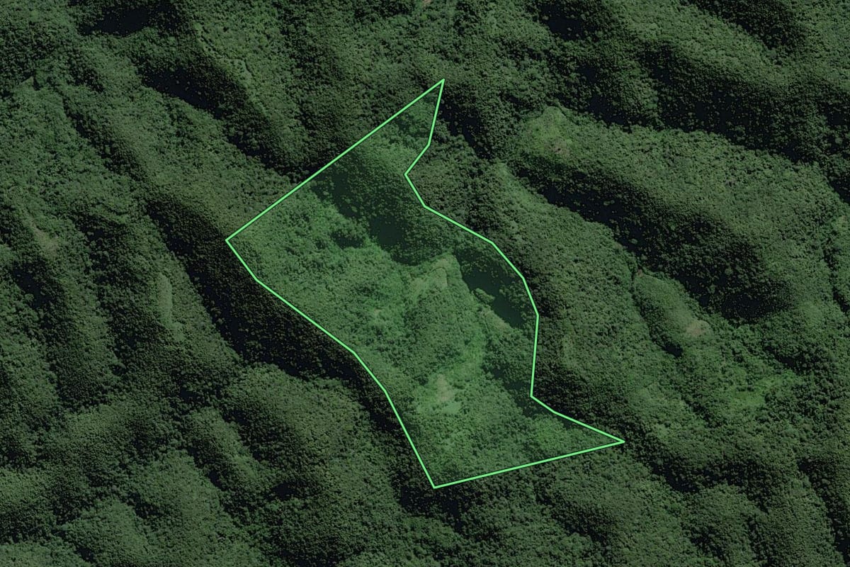 Imagem de satélite do imóvel rural em Pedro de Toledo (SP), com o contorno declarado no CAR desenhado por cima.