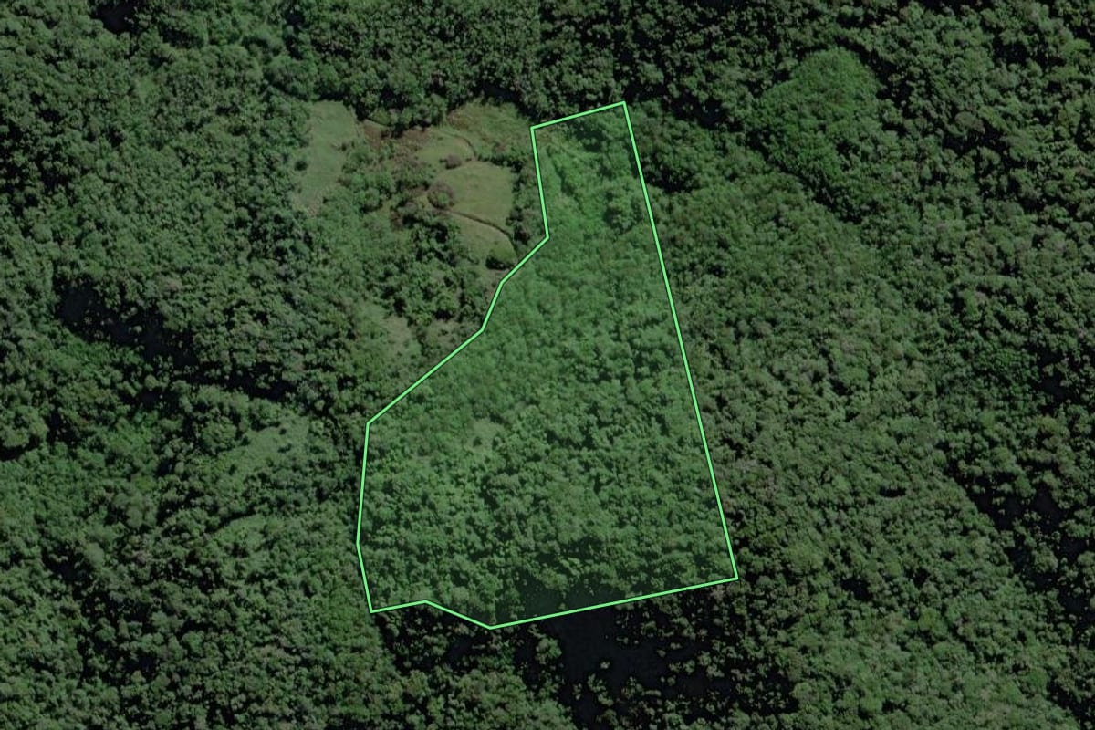 Imagem de satélite do imóvel rural em Pedro de Toledo (SP), com o contorno declarado no CAR desenhado por cima.