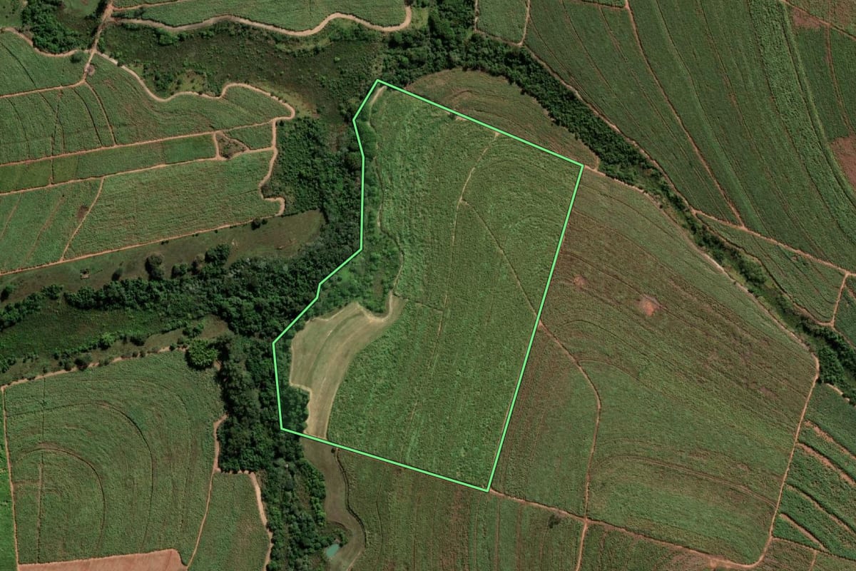 Imagem de satélite do imóvel rural em Penápolis (SP), com o contorno declarado no CAR desenhado por cima.