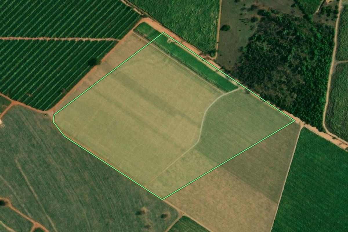 Imagem de satélite do imóvel rural em Penápolis (SP), com o contorno declarado no CAR desenhado por cima.