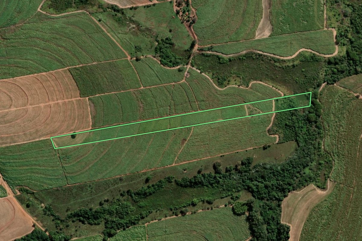 Imagem de satélite do imóvel rural em Penápolis (SP), com o contorno declarado no CAR desenhado por cima.