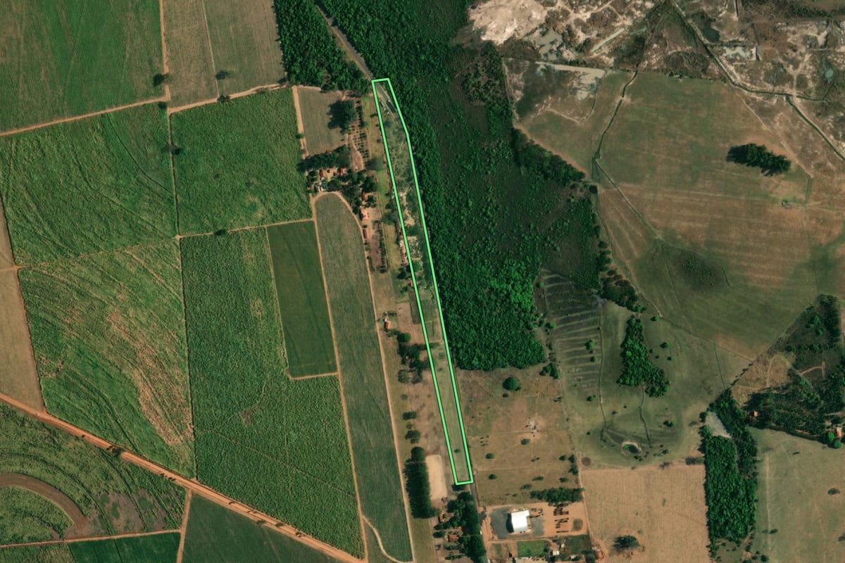 Imagem de satélite do imóvel rural em Penápolis (SP), com o contorno declarado no CAR desenhado por cima.