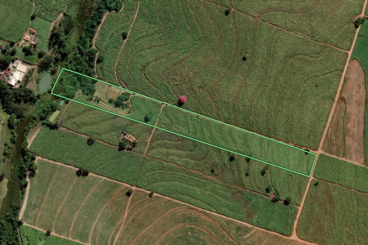 Imagem de satélite do imóvel rural em Penápolis (SP), com o contorno declarado no CAR desenhado por cima.